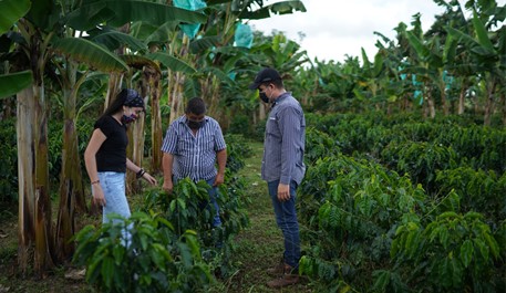 Por el impacto del paro nacional y el efecto del clima  Producción de café de Colombia cierra 2021 en 12,6 millones de sacos
