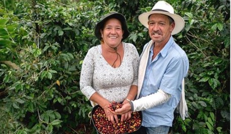 Producción de café de Colombia aumenta 4% en agosto